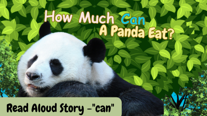 Fry 1 to 50 - Can Sight Word -Thumbnail